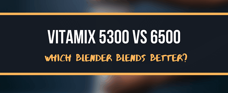vitamix 5300 vs 6500