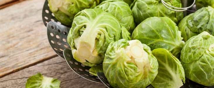 Brussels sprouts on a steamer basket