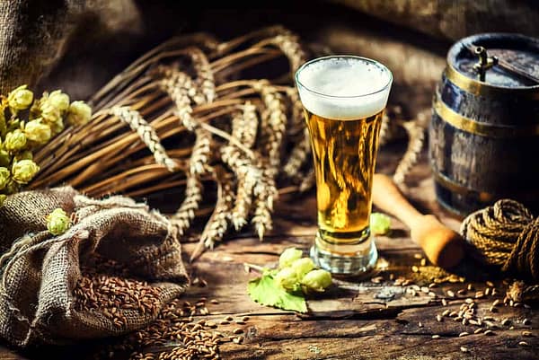 kit for beer making
