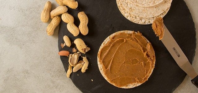 Best Nut Butter food processor