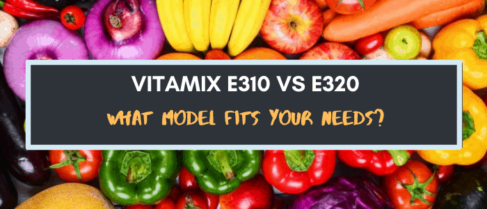 Vitamix e310 vs e320