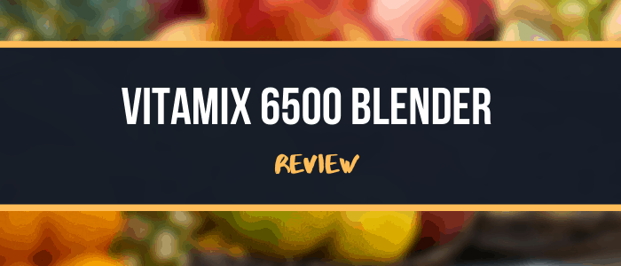 Vitamix 6500 Blender Review